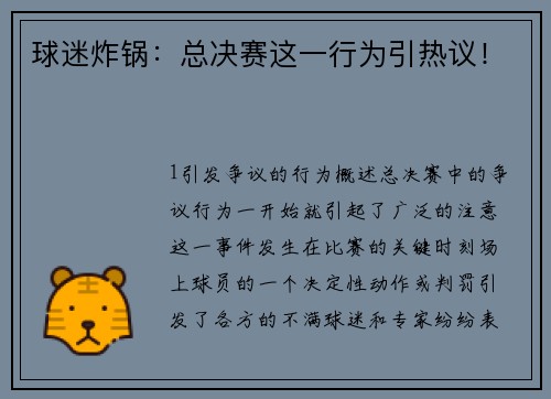 球迷炸锅：总决赛这一行为引热议！